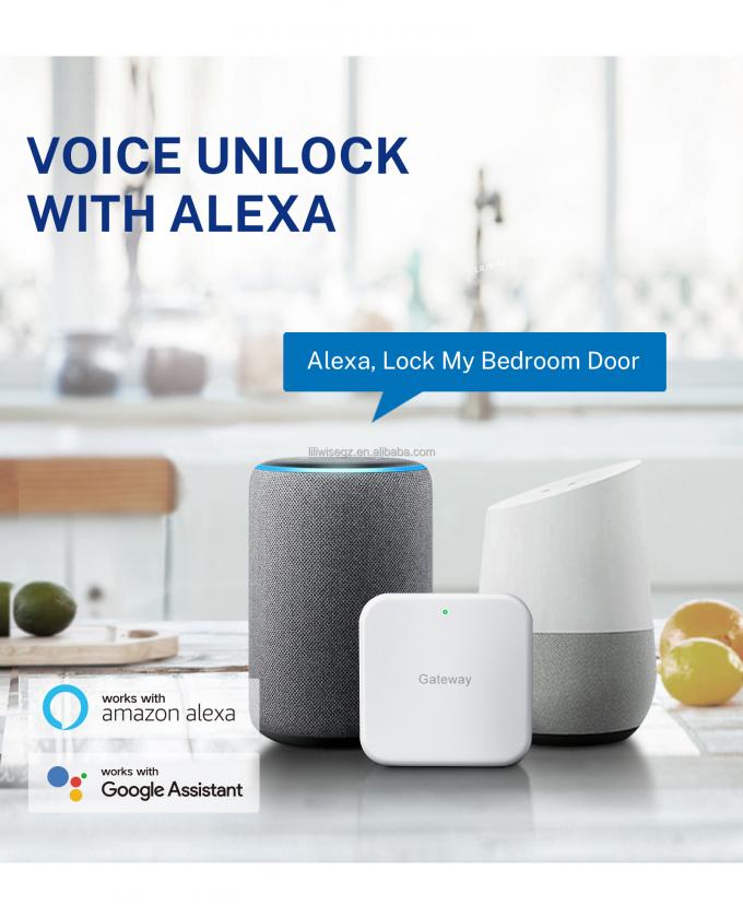 Tuya WiFi BLE قفل الباب الذكي مع بصمة الاصبع و لوحة المفاتيح 4