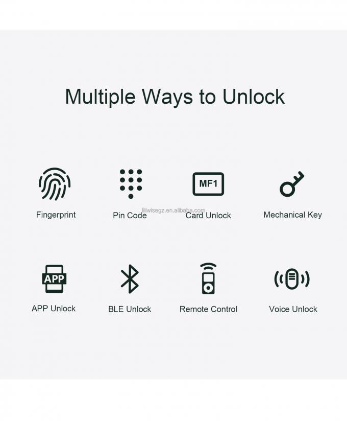 LILIWISE عالية الجودة المصنع القفل الذكي 2025 Tuya Wifi BLE TTLOCK مقاوم للماء القفل الذكي 2