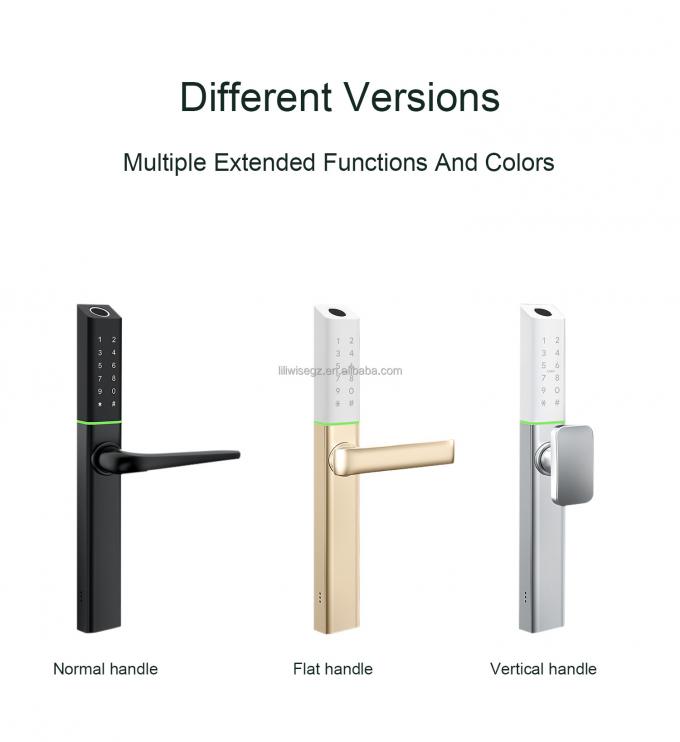 LILIWISE عالية الجودة المصنع القفل الذكي 2025 Tuya Wifi BLE TTLOCK مقاوم للماء القفل الذكي 3
