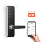 أقفال الأبواب الذكية الإلكترونية الأمن Tuya APP WiFi للمنزل CE FCC ROHS