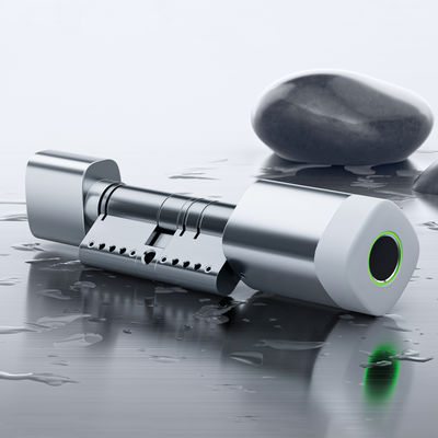 بطاقة بصمة أصابع (ليلي ويز) RFID قفل الباب المقاوم للماء القابل للتعديل WiFi BLE Tuya Ttlock قفل أسطوانة ذكية لاستبدال الميكانيكية القديمة