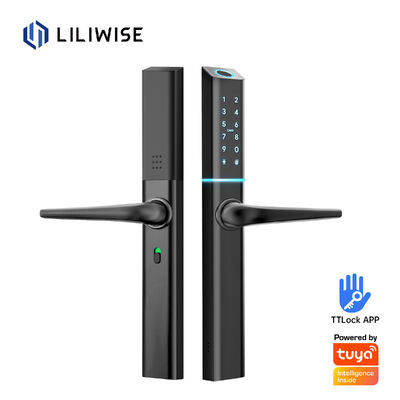 LILIWISE عالية الجودة المصنع القفل الذكي 2025 Tuya Wifi BLE TTLOCK مقاوم للماء القفل الذكي